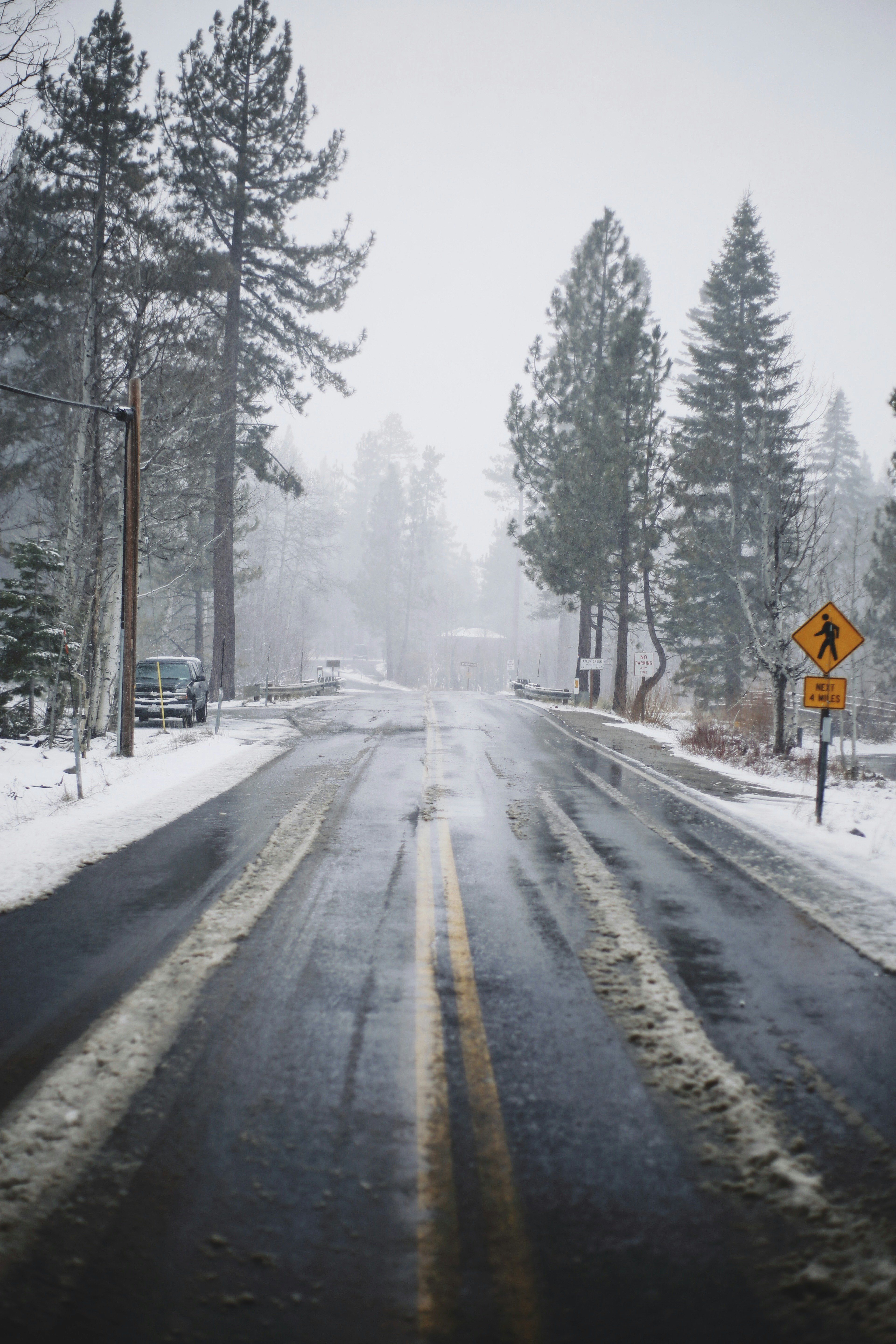 snow covered road between trees during daytime